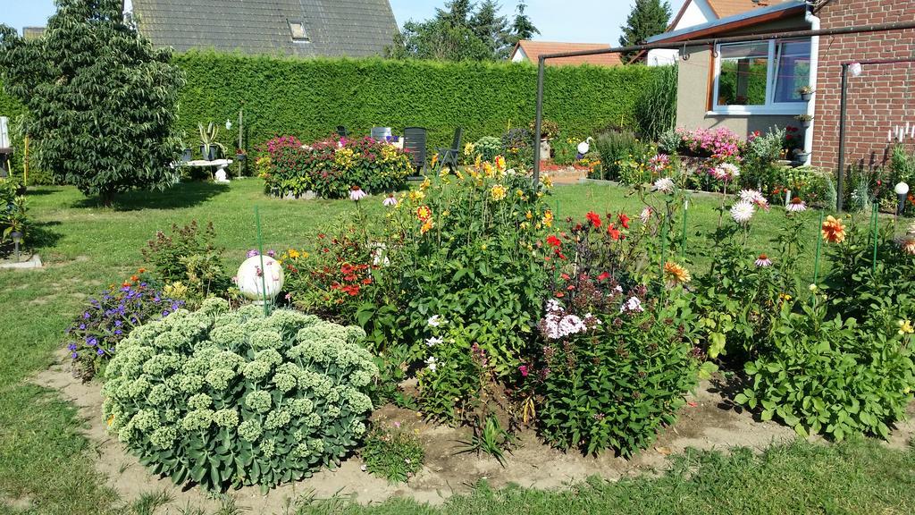 Ferienhaus Storchenweg Mahlzow Exteriér fotografie